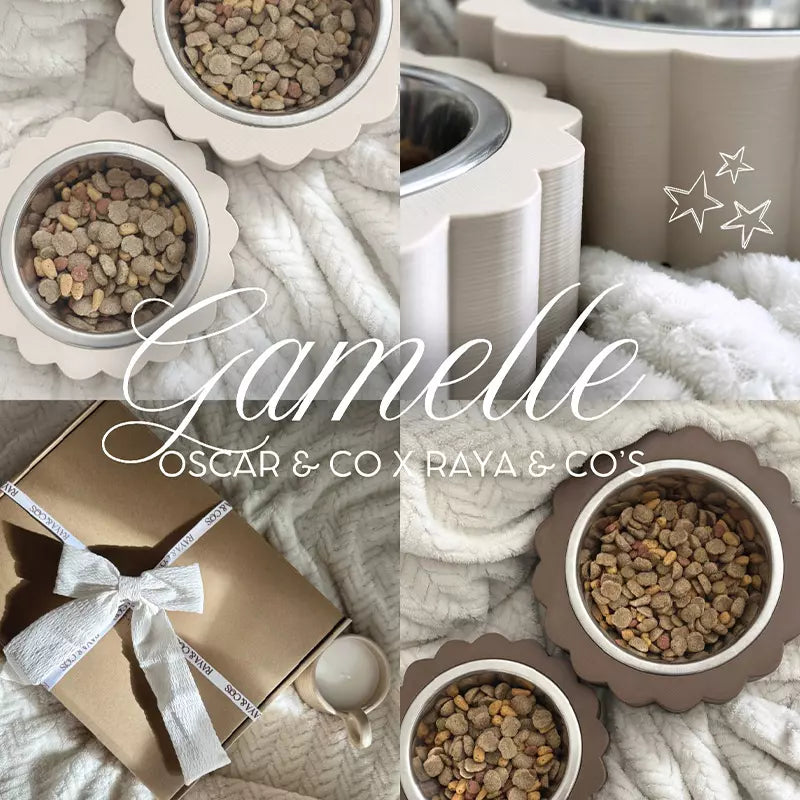 LES GAMMELLES