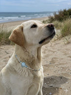 Collier Pearly