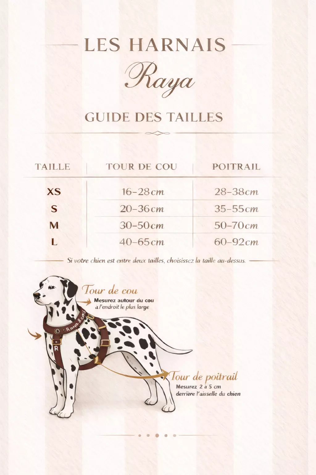 Harnais Mocha Noisette – Moumoute Confort – Design Y & Anse