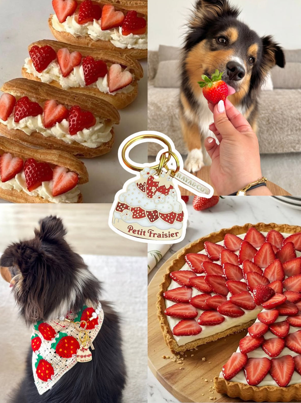 Médaille Petit Fraisier