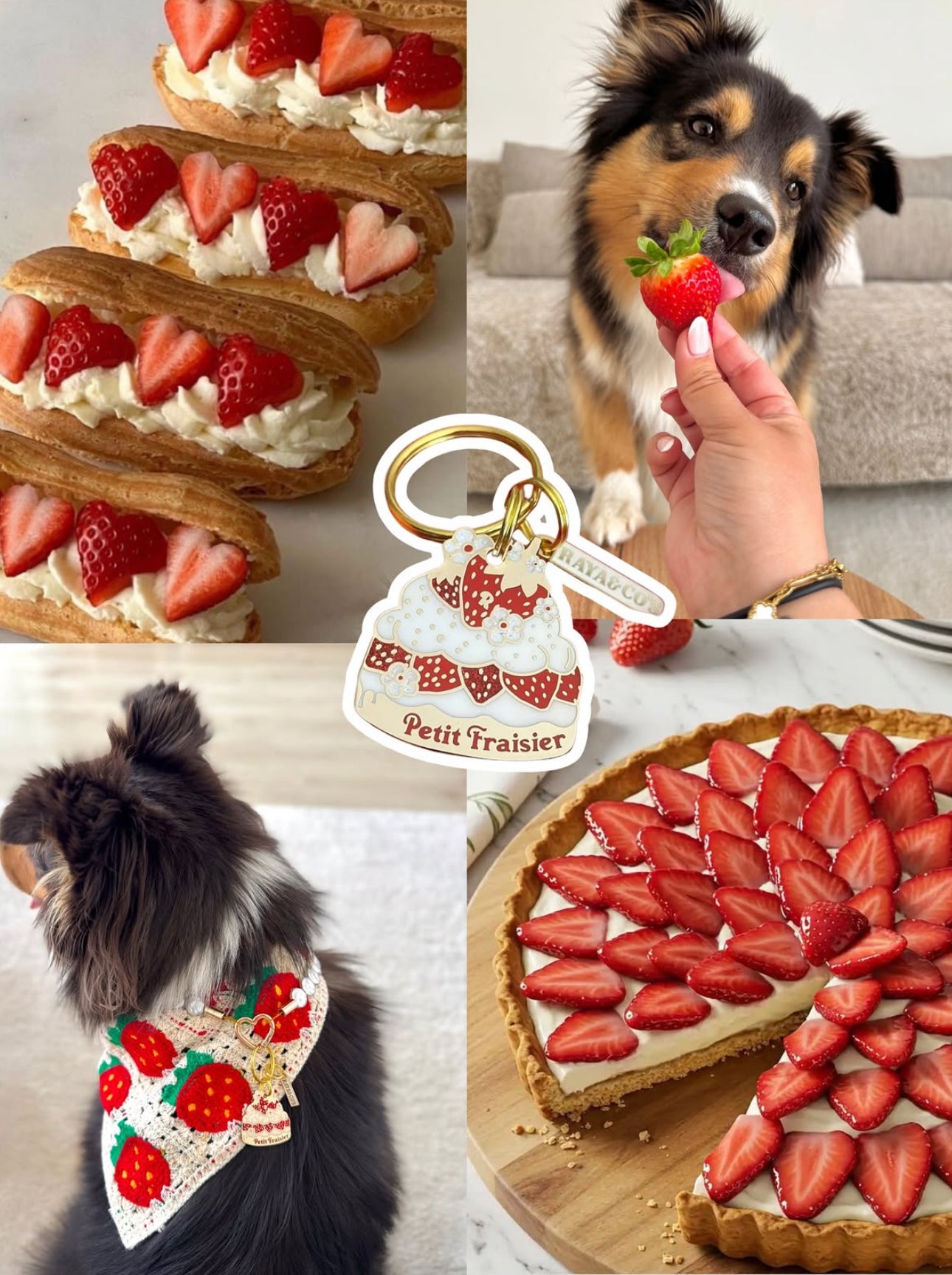 Médaille Petit Fraisier
