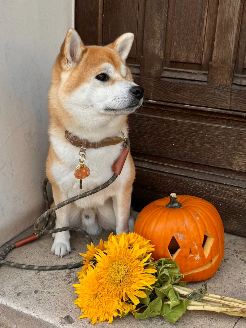 Pumpkin
