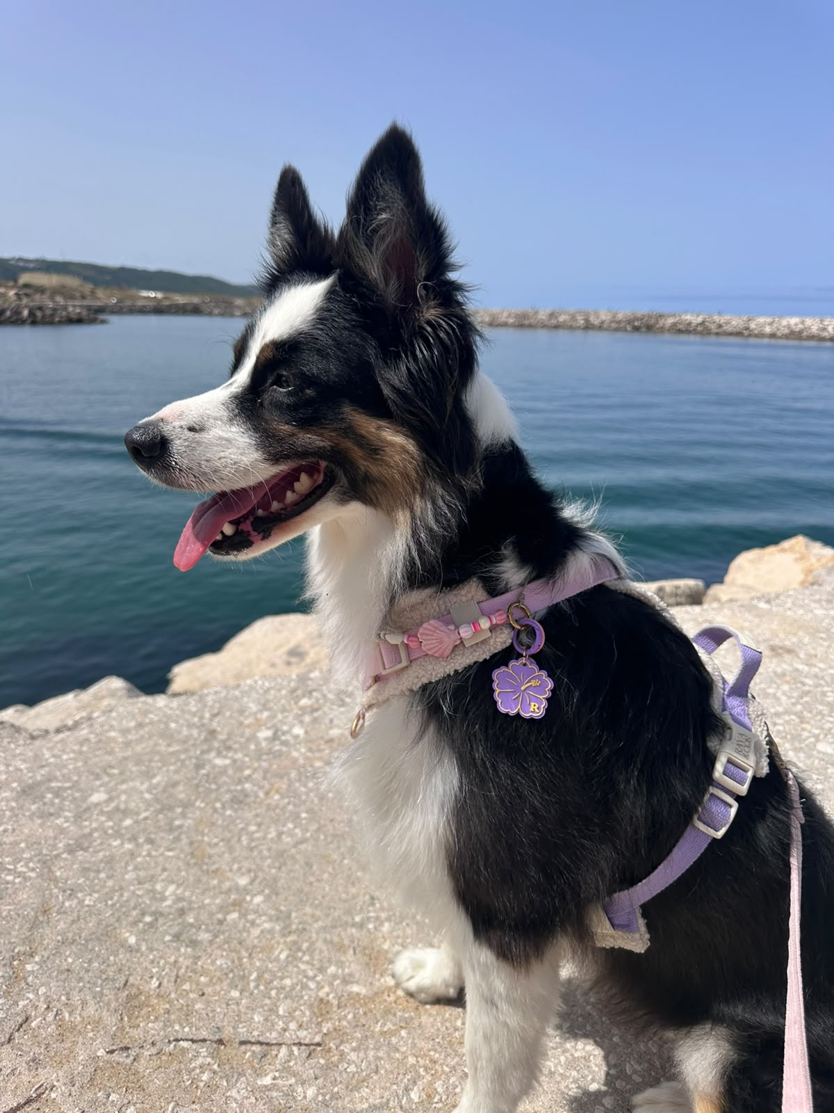 Médaille Hibiscus 🌺