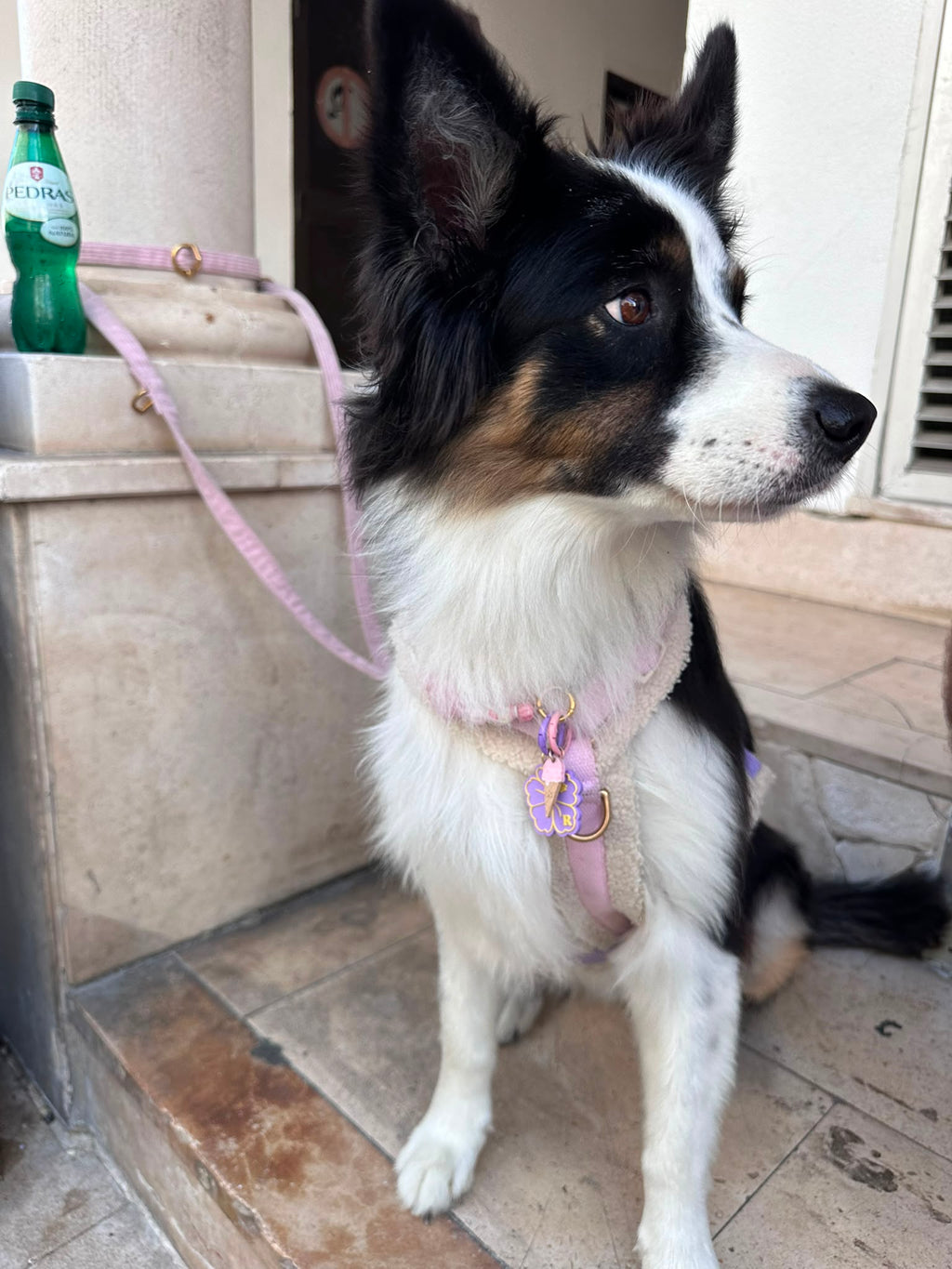 Médaille Hibiscus 🌺