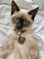 Médailles Chats