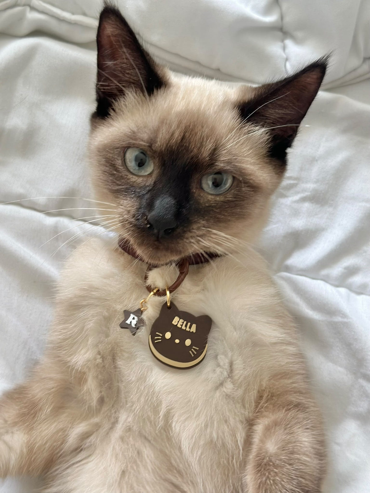 Médailles Chats