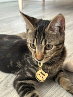Médailles Chats