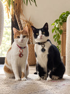 Médailles Chats