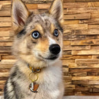 Adorable Médaille Loup Marron